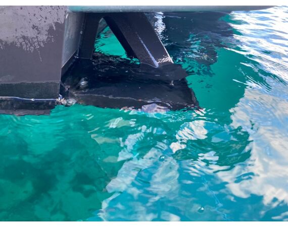 Savage Gear Heilbot festival sep 26