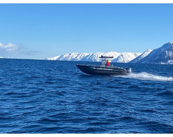 Savage Gear Heilbot festival sep 26