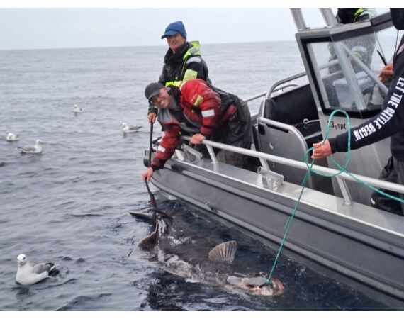 Savage Gear Heilbot festival sep 26