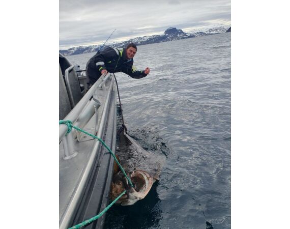 Savage Gear Heilbot festival sep 26