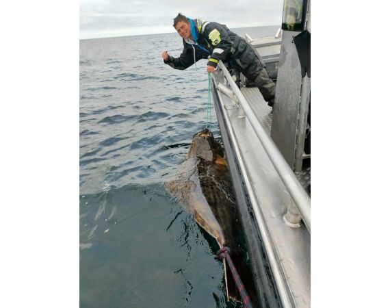 Savage Gear Heilbot festival sep 26