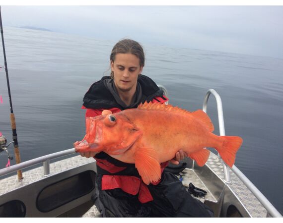 Savage Gear Heilbot festival sep 26