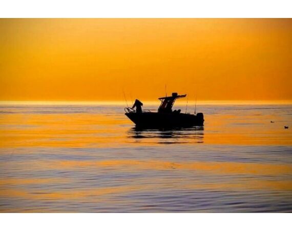 Savage Gear Heilbot festival sep 26