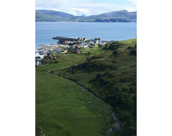 Savage Gear Heilbot festival sep 26