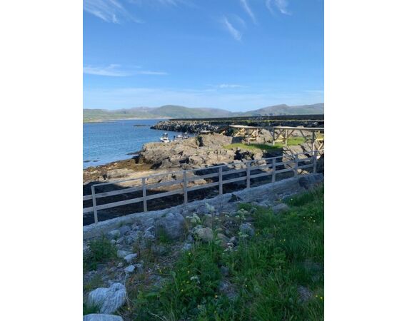 Savage Gear Heilbot festival sep 26