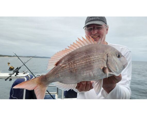 Zuid Afrika Mosselbaai nov 2026