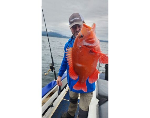 Zuid Afrika Mosselbaai nov 2026