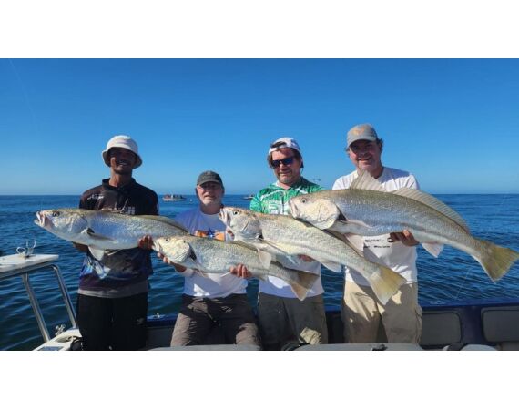 Zuid Afrika Mosselbaai nov 2026