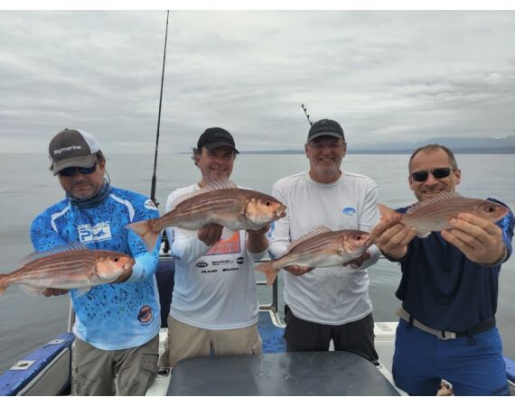 Zuid Afrika Mosselbaai nov 2026