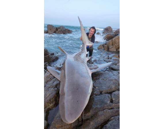 Zuid Afrika Mosselbaai nov 2026