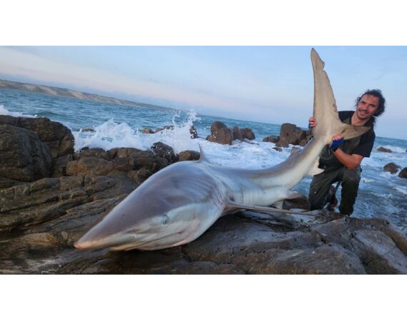 Zuid Afrika Mosselbaai nov 2026