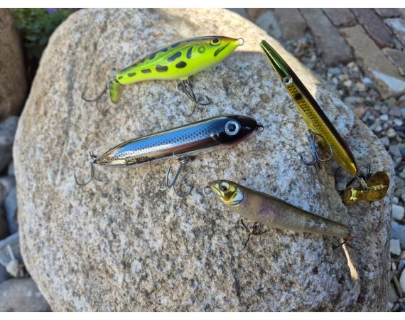 Spaanse bellyboat Black Bass