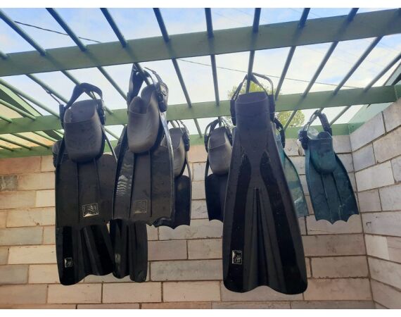 Spaanse bellyboat Black Bass