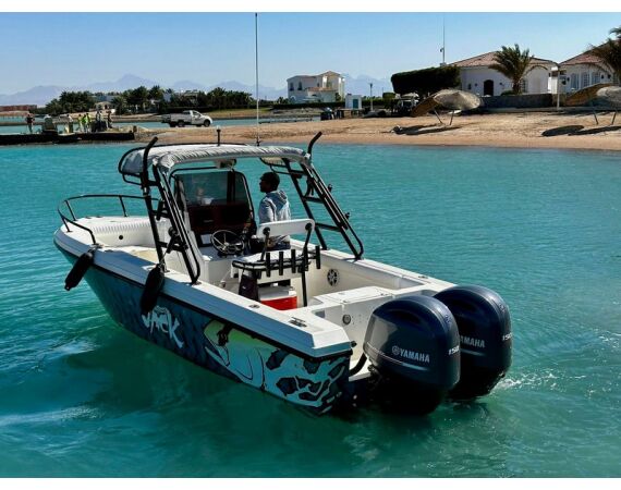 Nipro goes Egypt! mrt 26