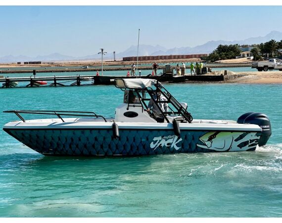 Nipro goes Egypt! mrt 26