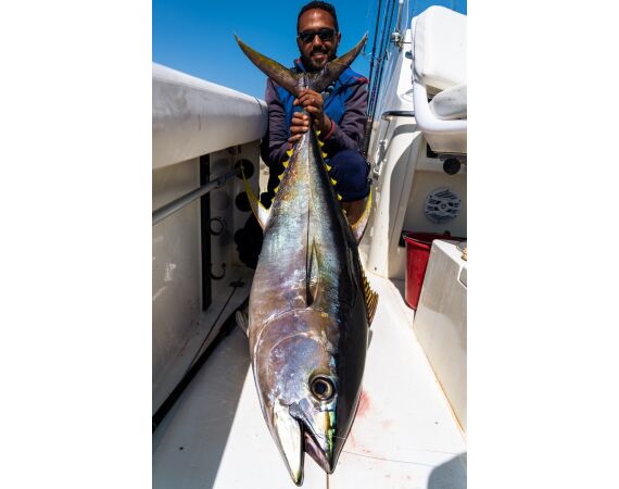 Nipro goes Egypt! mrt 26