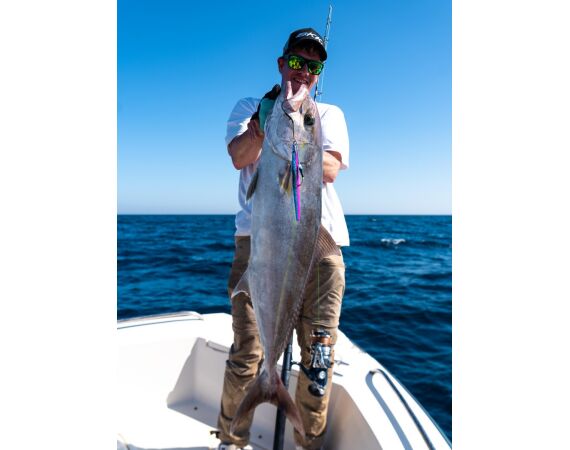 Nipro goes Egypt! mrt 26