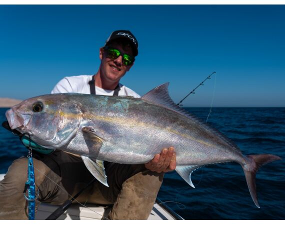 Nipro goes Egypt! mrt 26