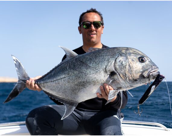 Nipro goes Egypt! mrt 26