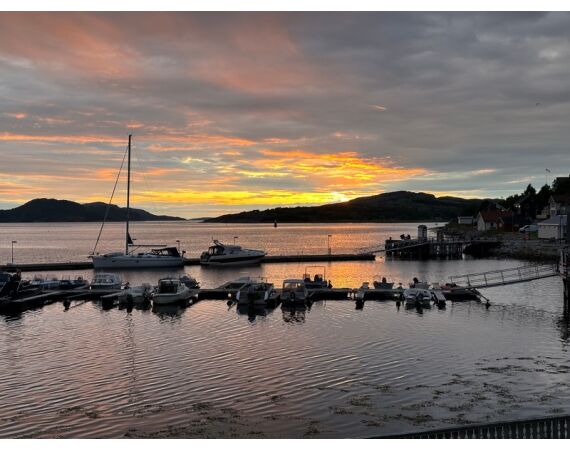 Rien de Wolf Noorwegen festival mei 2026