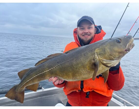 Rien de Wolf Noorwegen festival mei 2026