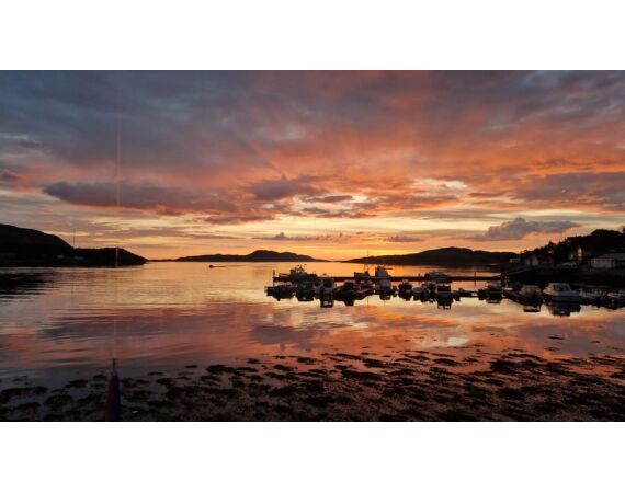 Rien de Wolf Noorwegen festival mei 2026