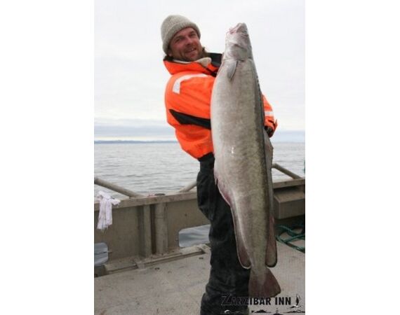 Rien de Wolf Noorwegen festival mei 2026