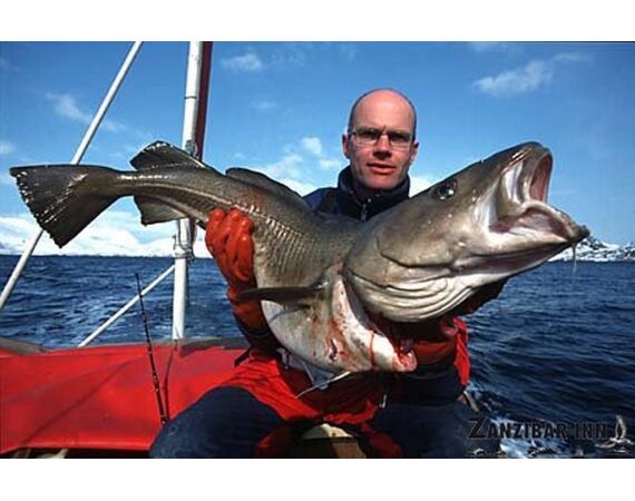 Rien de Wolf Noorwegen festival mei 2026