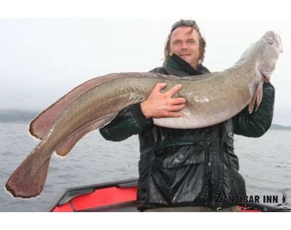 Nomad Angler Noorwegen Festival sep 2026