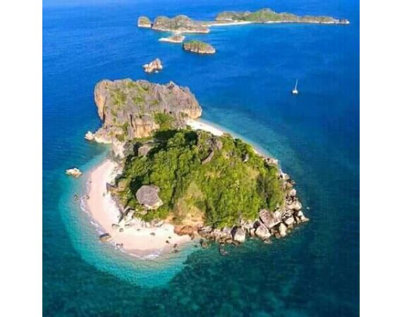 Fauna goes Madagascar! jan 27