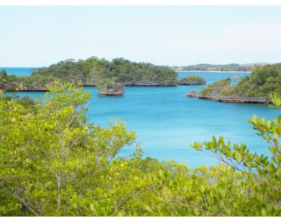 Fauna goes Madagascar! jan 27