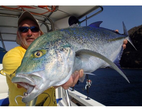 Fauna goes Madagascar! jan 27