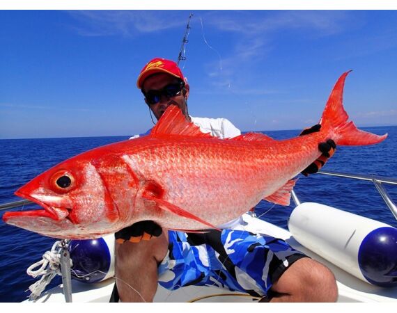 Fauna goes Madagascar! jan 27