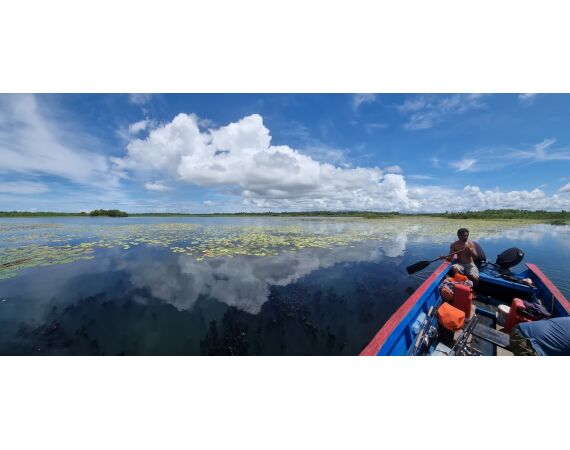 Expeditie Papua okt 26