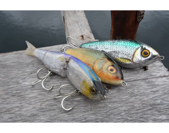 Expeditie Papua okt 26