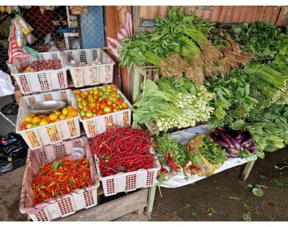 Expeditie Papua okt 26