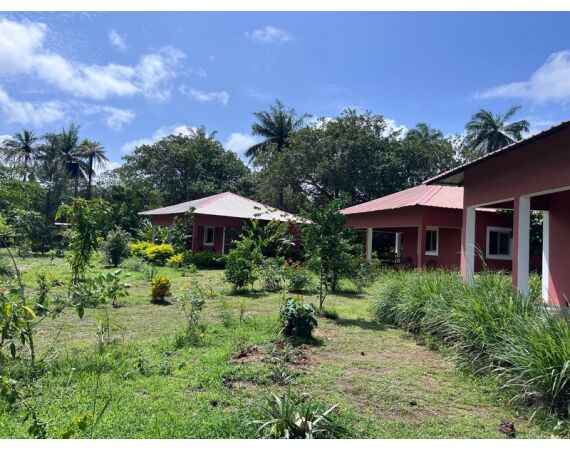 Guinee Bissau groepsreis nov 26