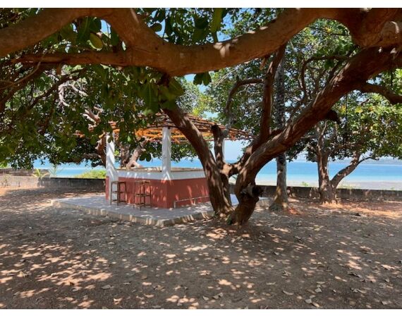 Guinee Bissau groepsreis nov 26