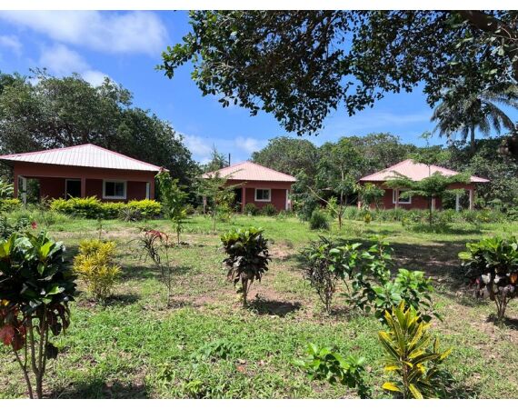 Guinee Bissau groepsreis nov 26