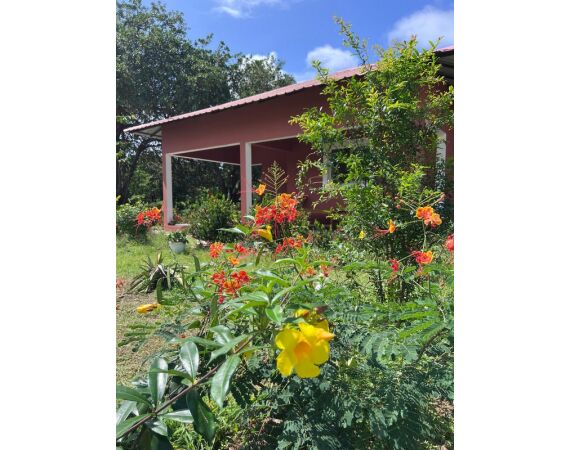 Guinee Bissau groepsreis nov 26