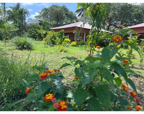 Guinee Bissau groepsreis nov 26