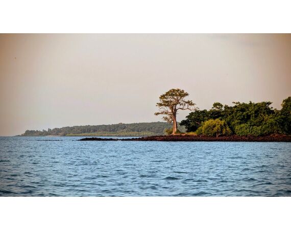 Guinee Bissau groepsreis nov 26