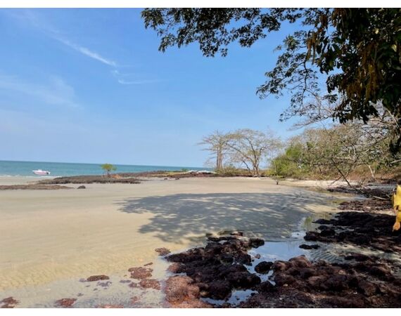 Guinee Bissau groepsreis nov 26