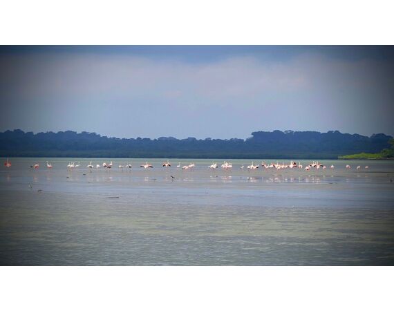 Guinee Bissau groepsreis nov 26