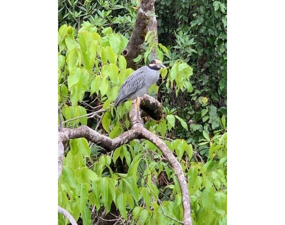 Guinee Bissau groepsreis nov 26