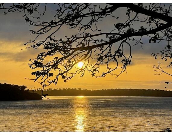 Guinee Bissau groepsreis nov 26