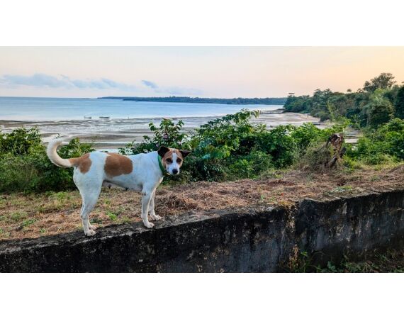 Guinee Bissau groepsreis nov 26