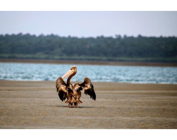 Guinee Bissau groepsreis nov 26