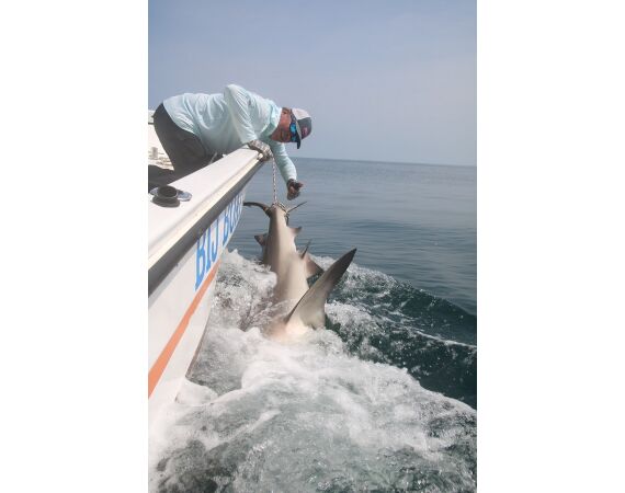 Guinee Bissau groepsreis nov 26