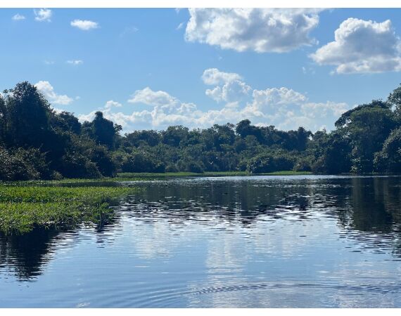 Arapaima Bolivia sep 2027